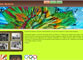 siti web realizzati