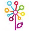 Social Network