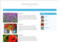siti web realizzati