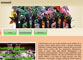 siti web realizzati