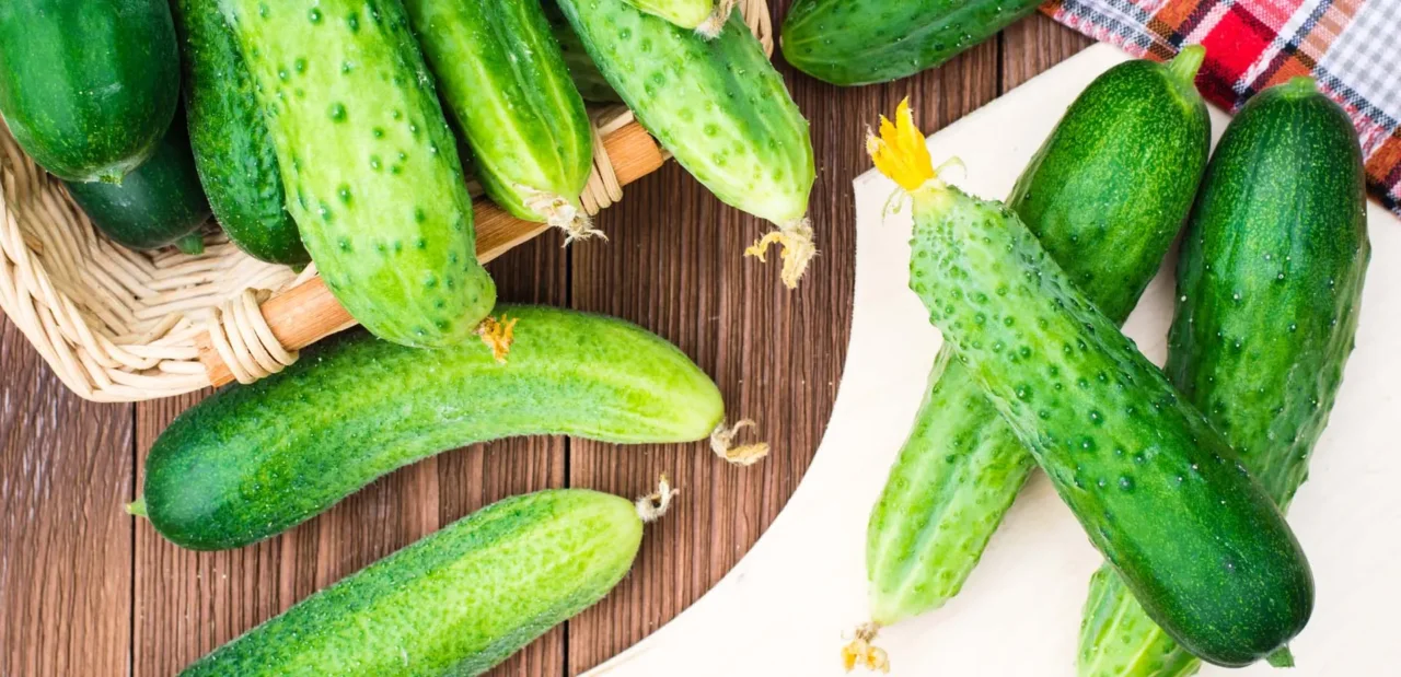 Come coltivare cetrioli croccanti in orto e terrazzo