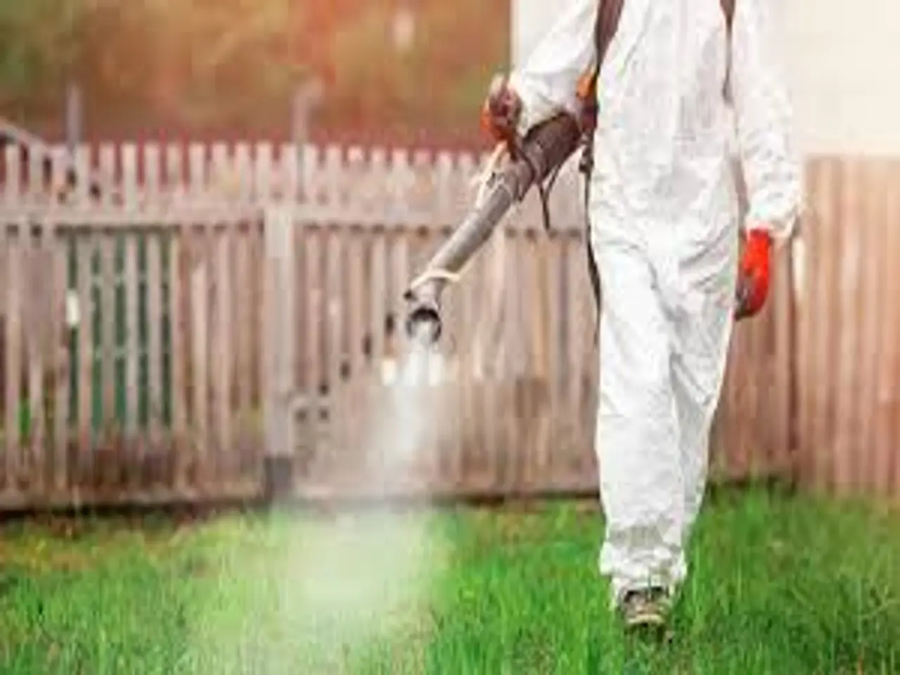 Il lato nascosto dei pesticidi naturali