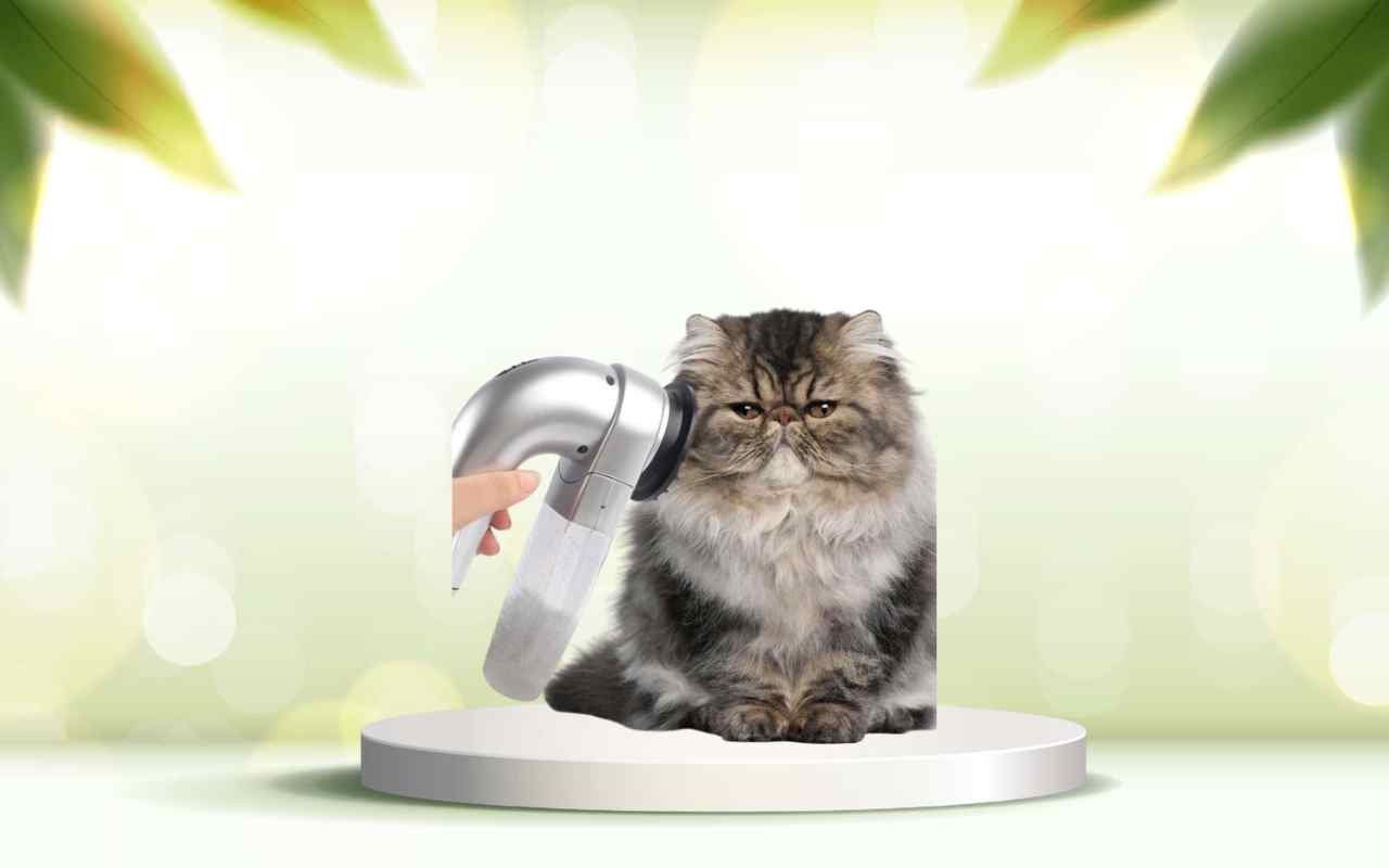 Scopri come eliminare i peli degli animali in casa con SpazzolAmica