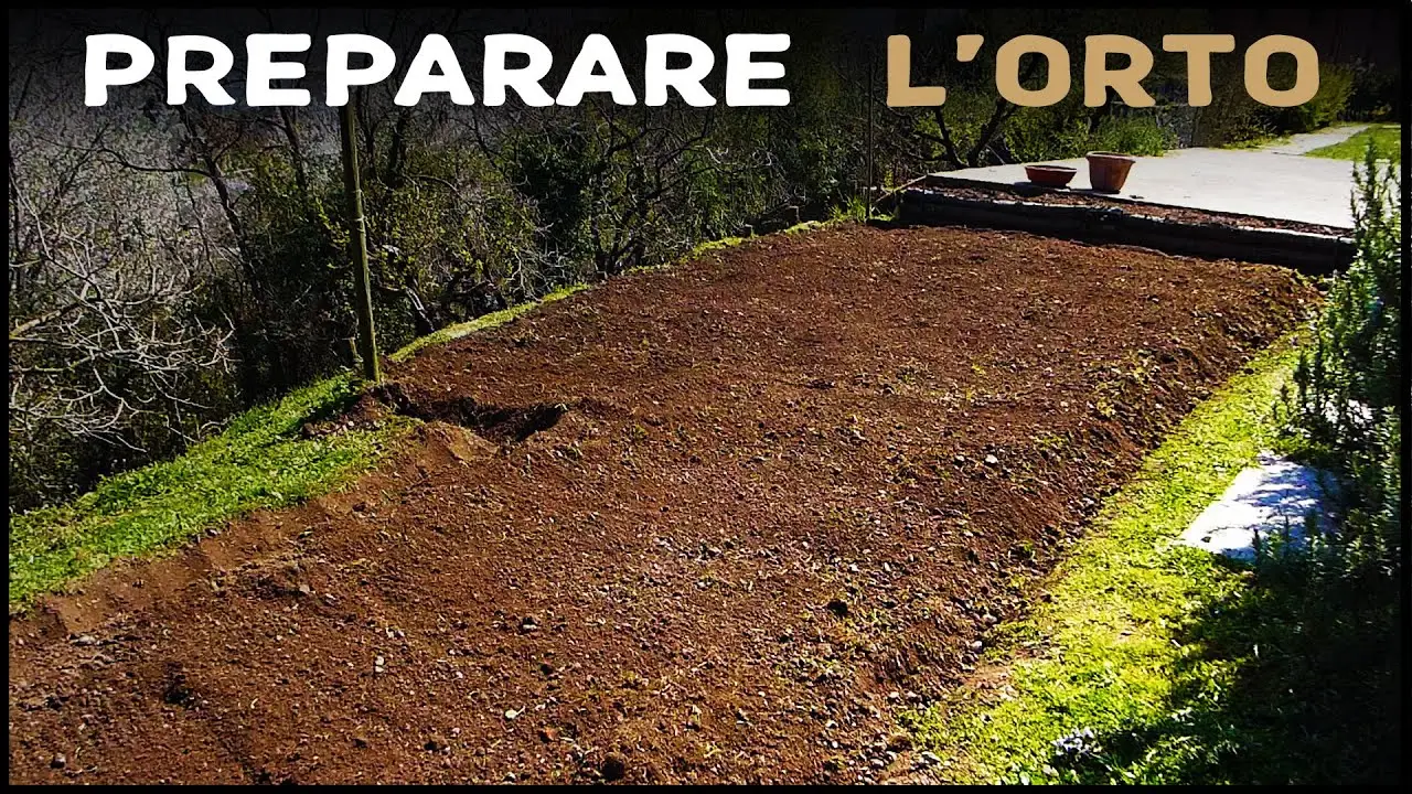 Il segreto per avere un orto biologico