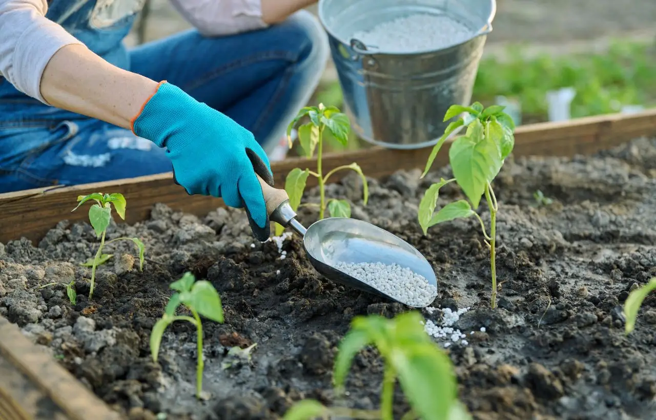 Il lato nascosto dei fertilizzanti chimici